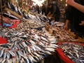Frauen Segeln: Fischmarkt